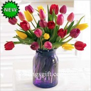 Colourful Tulip With Vase to China